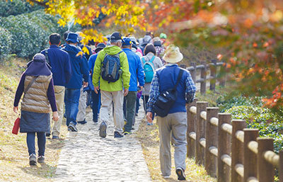  成人の散歩・ウォーキング人口は22年間で倍増ウォーキングイベントに参加するアクティブシニア